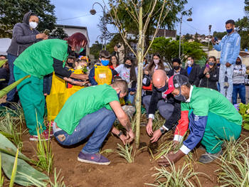 Garis comunitários plantam o Ipê amarelo - Foto: AsCom PMT
