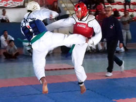 XIX Copa Ter de Taekwondo  - Foto: AsCom PMT