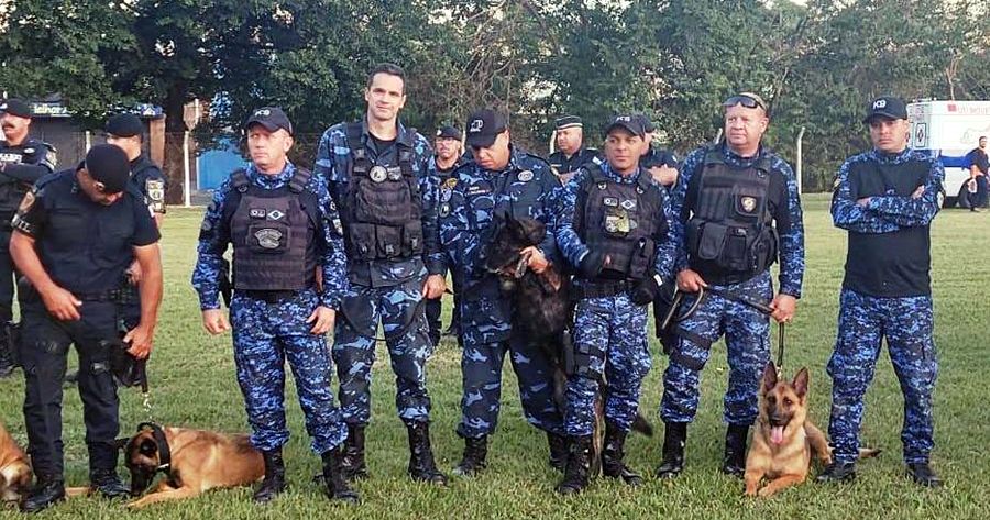 Companhia de Operações com Cães da Guarda Municipal de Teresópolis - Foto: AsCom PMT