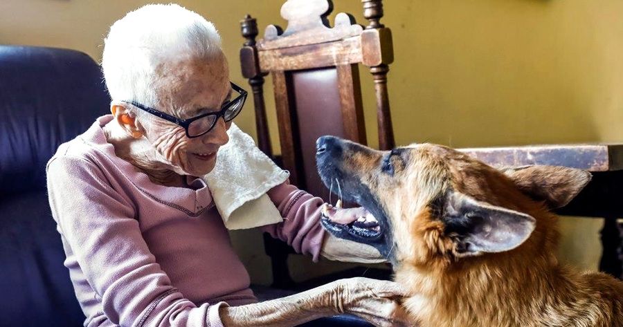 Cinoterapia para idosos em Teresópolis - Foto: PMT