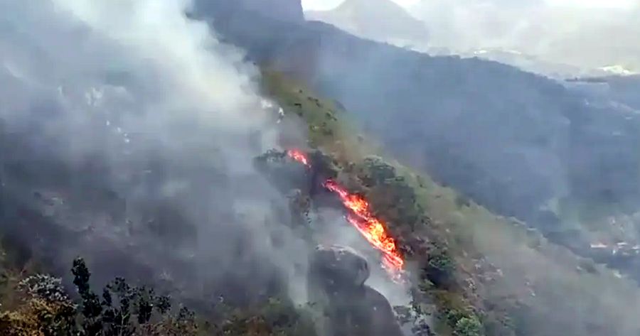 Parque Natural Municipal Montanhas de Teresópolis foi atingido por incêndio -  Foto: Equipe PNMMT/Divulgação