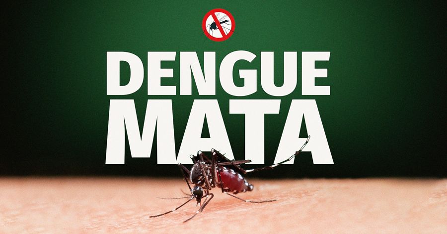 Teresópolis intensifica ações de enfrentamento ao mosquito da dengue - Foto: ilustrativa da Web