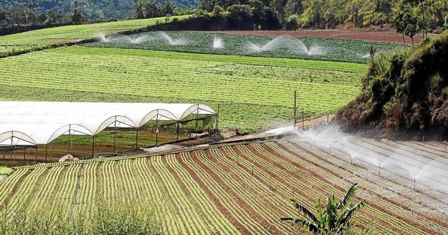 Bonsucesso é uma das localidades agrícolas de Teresópolis - Foto de Arquivo